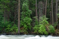Fast flowing Merced River