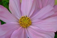 Table top beauty