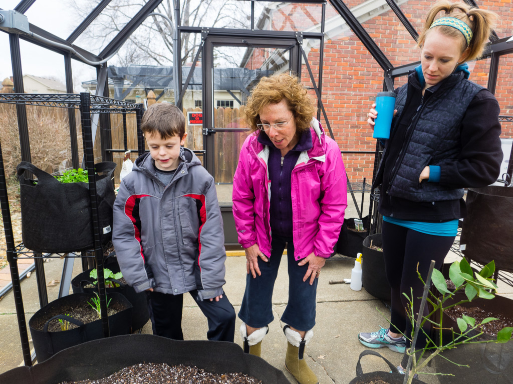 Green House 11 Jan 2015-1