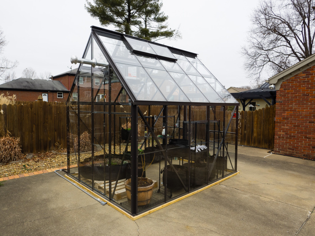Green House 11 Jan 2015-1-2