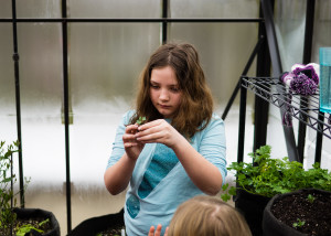 Green House March First-1-5