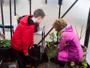 Green House March First-1-9