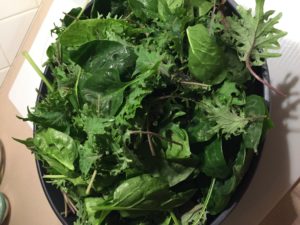 aficionado-farms-greens